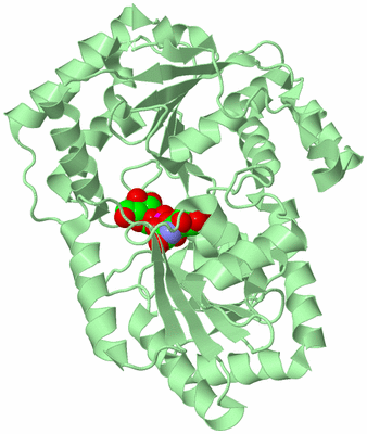 Image Biological Unit 2