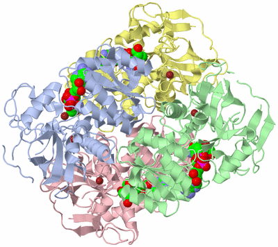 Image Biological Unit 1