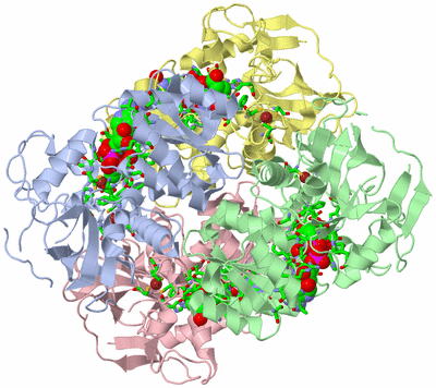 Image Biol. Unit 1 - sites