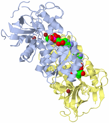 Image Biological Unit 2