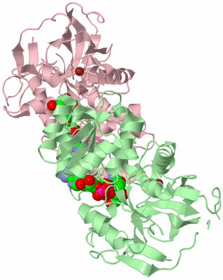 Image Biological Unit 3