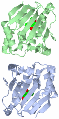 Image Asymmetric Unit