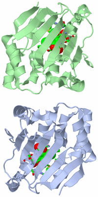 Image Asym. Unit - sites