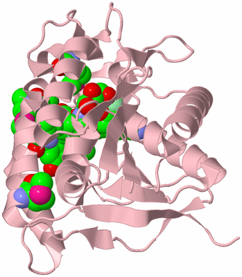 Image Biological Unit 3