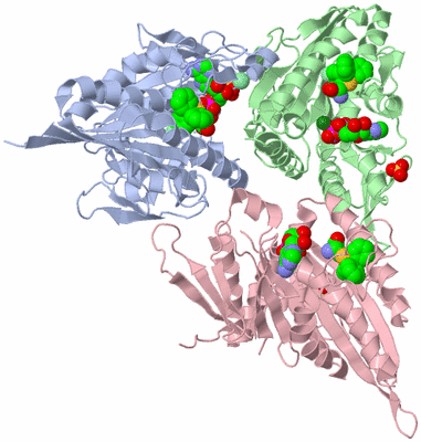 Image Asym./Biol. Unit