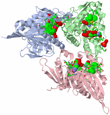 Image Asym./Biol. Unit - sites