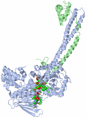 Image Asym./Biol. Unit - sites