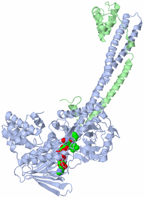 Image Asym./Biol. Unit