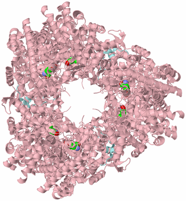 Image Biological Unit 2