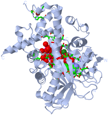 Image Biol. Unit 1 - sites