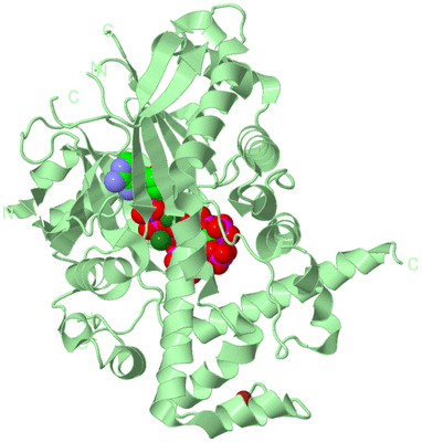 Image Biological Unit 2