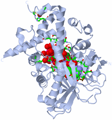 Image Biol. Unit 1 - sites