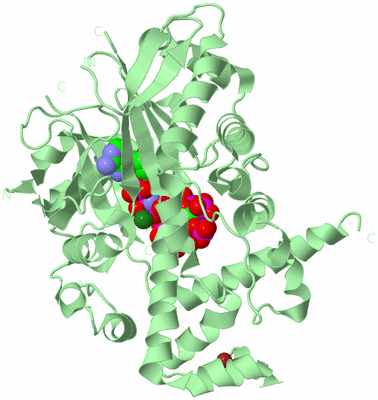 Image Biological Unit 2