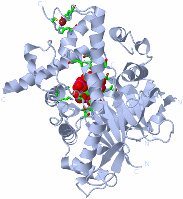 Image Biol. Unit 1 - sites