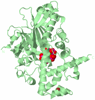 Image Biological Unit 2