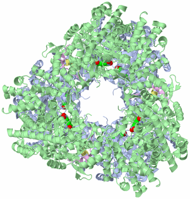 Image Biological Unit 1