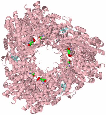 Image Biological Unit 2