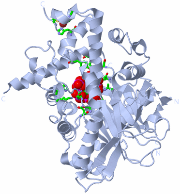 Image Biol. Unit 1 - sites