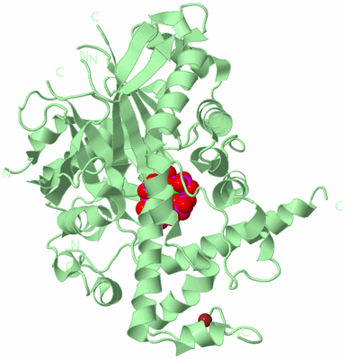 Image Biological Unit 2