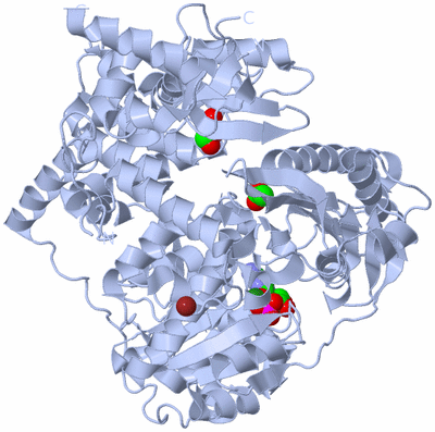 Image Biological Unit 1