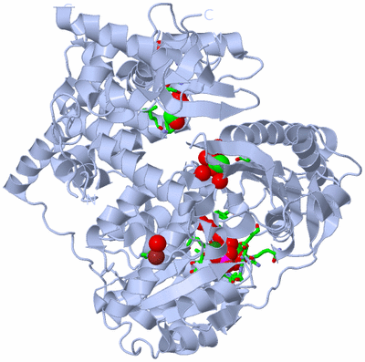 Image Biol. Unit 1 - sites