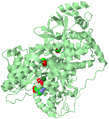 Image Biological Unit 2