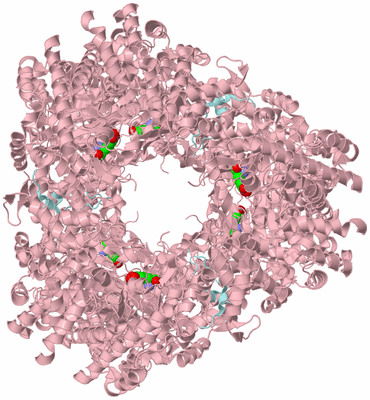 Image Biological Unit 2