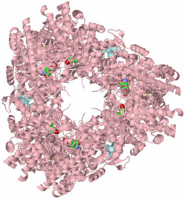 Image Biological Unit 1