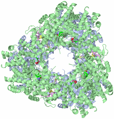 Image Biological Unit 2