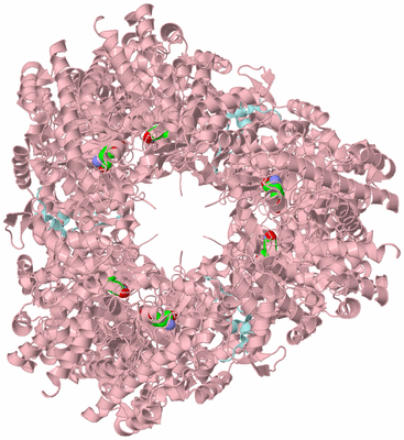 Image Biological Unit 2