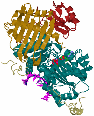 Image Biological Unit 1