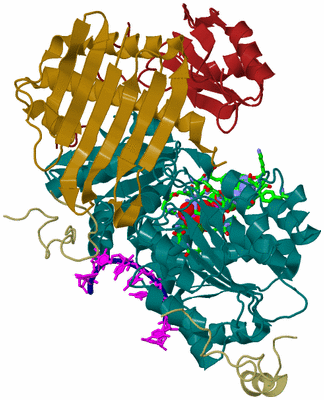 Image Biol. Unit 1 - sites