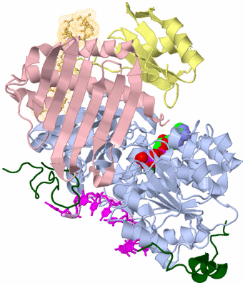 Image Biological Unit 2