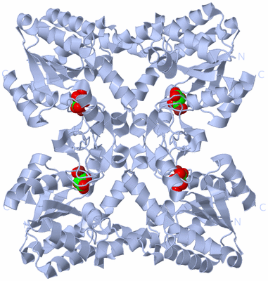 Image Biological Unit 1