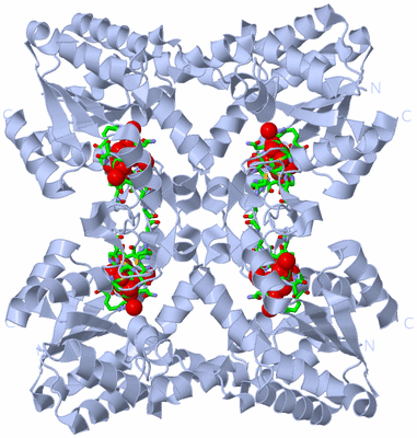 Image Biol. Unit 1 - sites