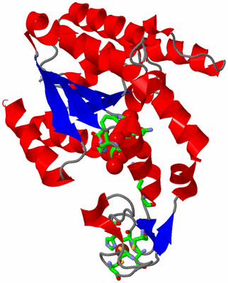 Image Asym. Unit - sites