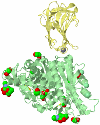 Image Biological Unit 2