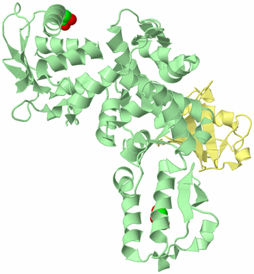 Image Biological Unit 2