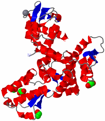 Image Asym./Biol. Unit