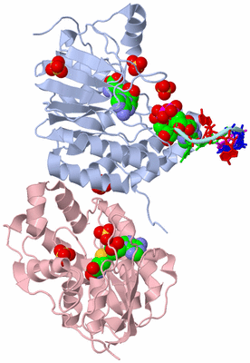 Image Biological Unit 2