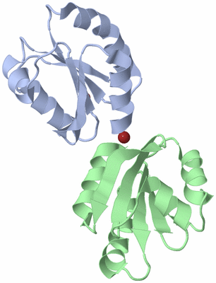 Image Biological Unit 1