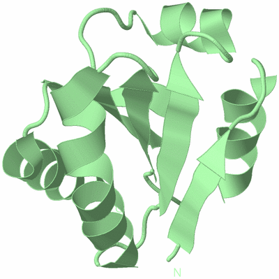 Image Biological Unit 3