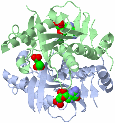 Image Asym./Biol. Unit