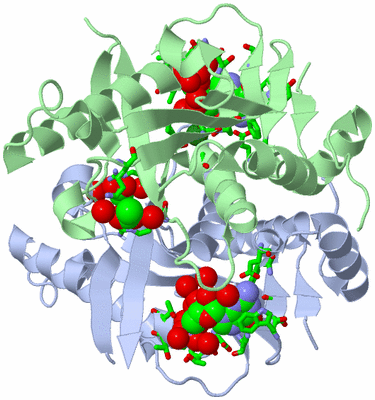 Image Asym./Biol. Unit - sites