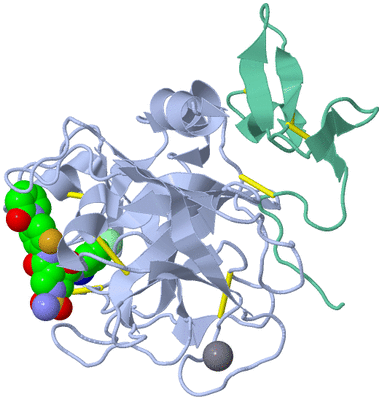 Image Asym./Biol. Unit