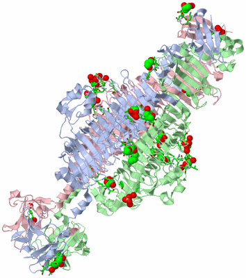 Image Biol. Unit 1 - sites