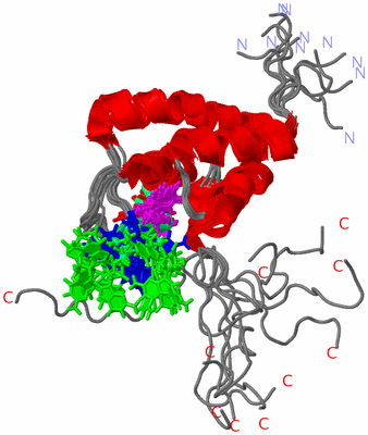 Image NMR Structure - all models