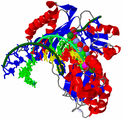 Image Asym./Biol. Unit