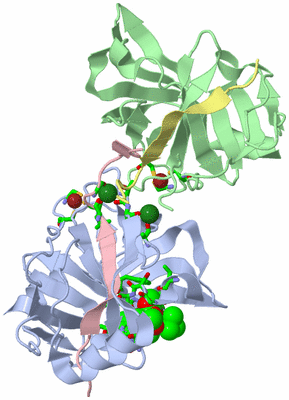 Image Asym./Biol. Unit - sites