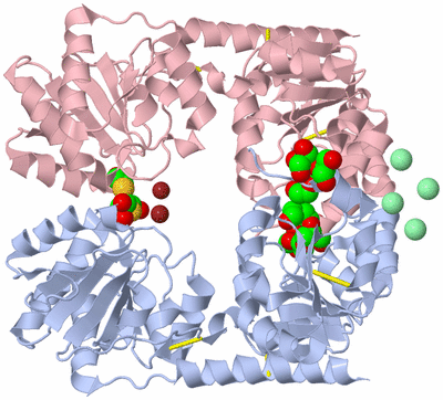 Image Biological Unit 1